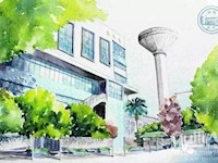 悦听枫声（二十四）