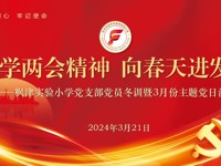 【枫津·红】学两会精神 向春天进发_——记枫津实验小学党支部三月主题党日活动