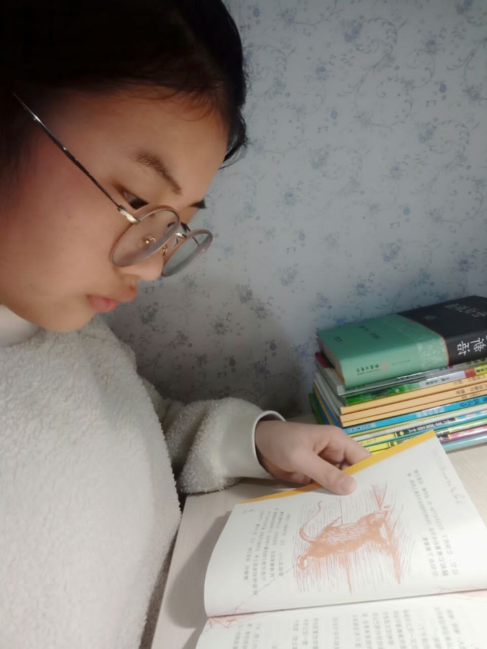 悦听枫声（十五）