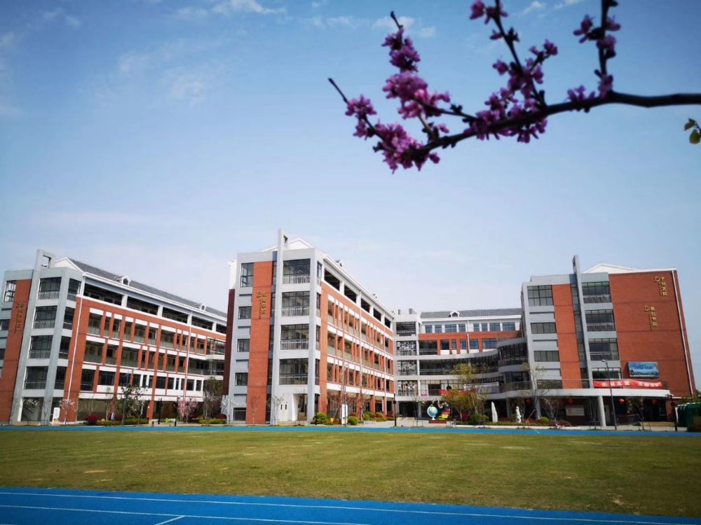 转发《关于组织2020年吴中区小学劳动与技术青年教师教学基本功竞赛的通知》