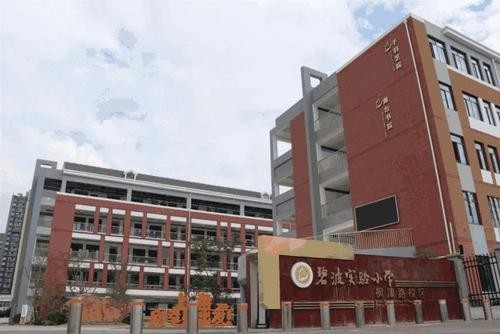 碧波实小枫津路校区教研组长示范课活动安排20.09