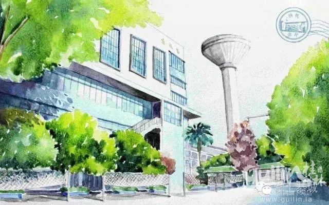 悦听枫声（二十四）